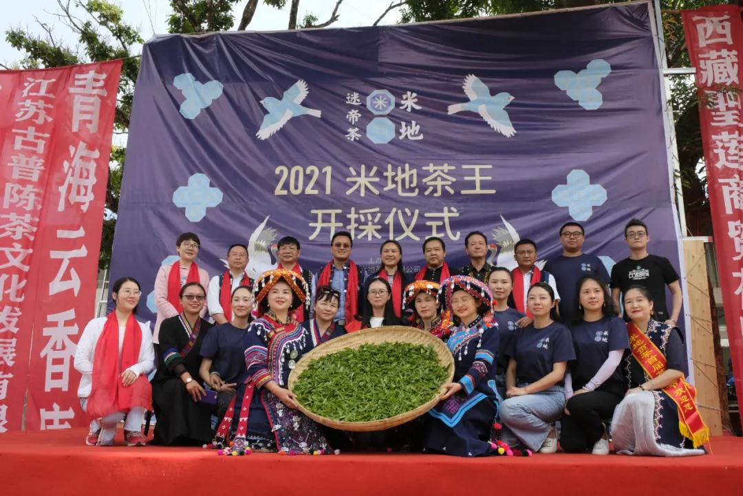 米地贡茶园茶王树开采 现场竞拍28万元善款捐赠墨江红十字会