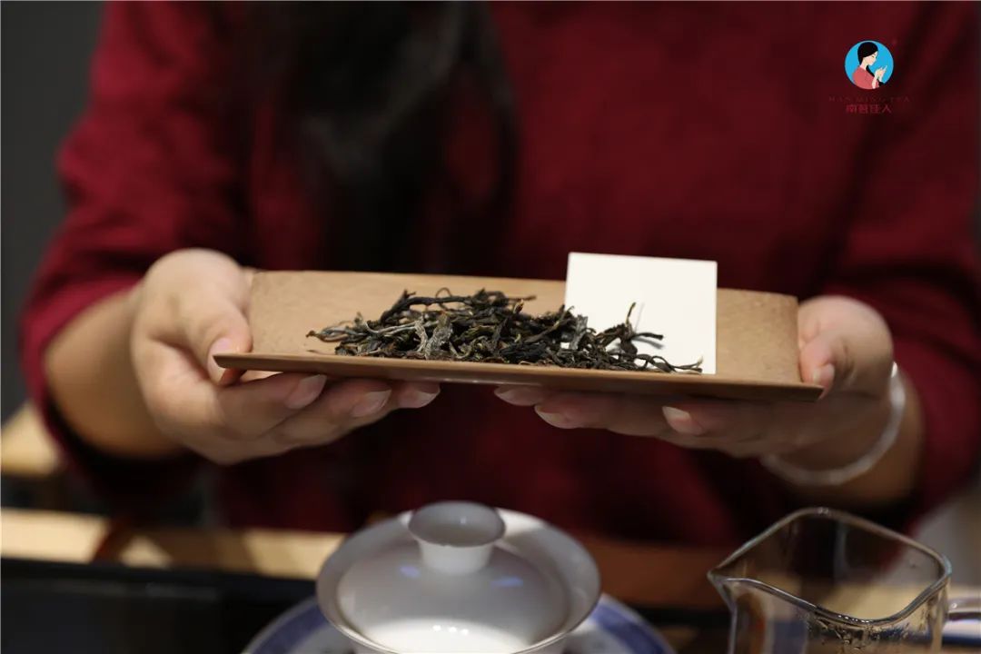 品鉴会︱第76期：同一生长环境下，树龄大和树龄小的茶树鲜叶做成的茶品，区别是什么？